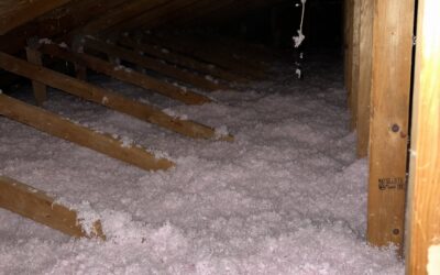 Why Home Insulation is SO IMPORTANT