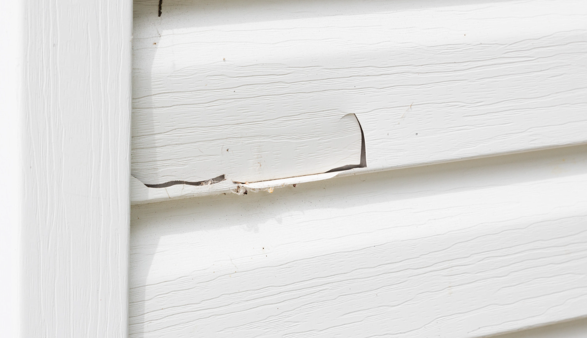 View of siding and windows on house