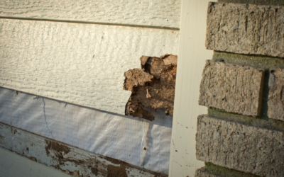 Top 5 Signs Your Siding Needs Replacement in Madison, WI