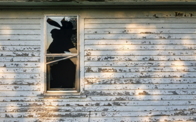 How Harsh Wisconsin Winters Slowly Damage Your Home’s Siding