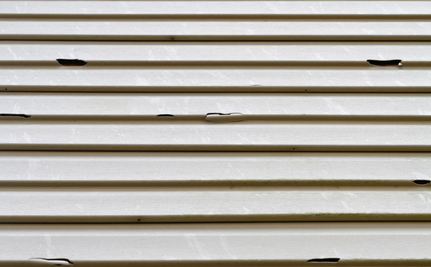 View of siding and windows on house